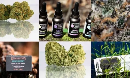 Michigan’s First Tribal Cannabis Store Opens Today