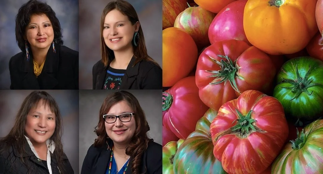Harvest Nation’s Indoor Aeroponic Farming Systems Solve Food Insecurity, Boost Local Economies