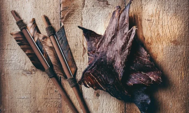 3 Tips From a Serial, Cree Entrepreneur Whose Pânsâwân Business Is Thriving Worldwide