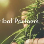 Cannabis Providing Economic Turnaround on the Yerington-Paiute Reservation