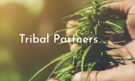 Cannabis Providing Economic Turnaround on the Yerington-Paiute Reservation