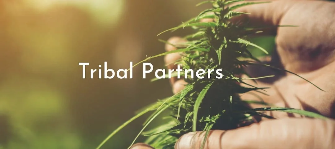 Cannabis Providing Economic Turnaround on the Yerington-Paiute Reservation