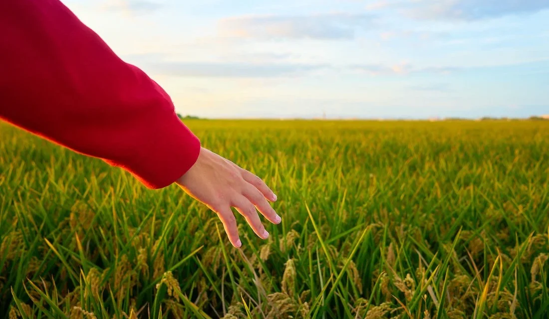 Native American Agriculture Fund Invests $1 Million Dollars in Native Youth for 2021