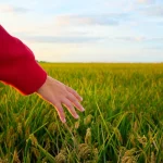 Native American Agriculture Fund Invests $1 Million Dollars in Native Youth for 2021