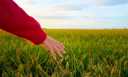 Native American Agriculture Fund Invests $1 Million Dollars in Native Youth for 2021