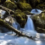 Jamestown S’Klallam Tribe Earns EPA Approval to Administer Clean Water Act  Programs on Reservation and Trust Lands