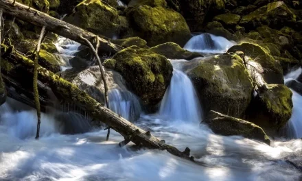 Jamestown S’Klallam Tribe Earns EPA Approval to Administer Clean Water Act Programs on Reservation and Trust Lands
